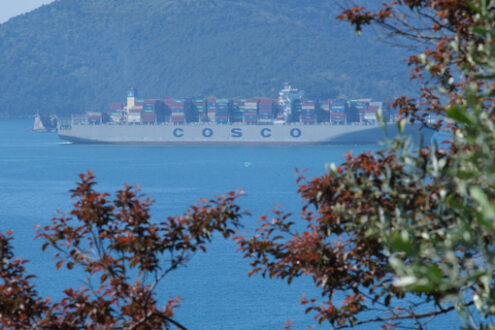 Porta container, nave nel mar Ligure. Container ship in the gulf of La Spezia in Liguria. Trees on the hills overlooking the Ligurian sea. Navi - MyVideoimage.com | Foto stock & Video footage