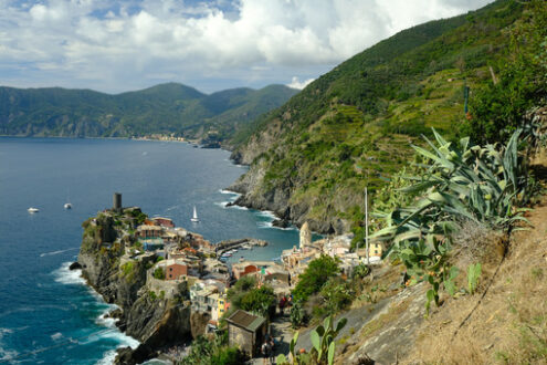 Porticciolo Liguria. Village of Vernazza in the Cinque Terre with the sea bay and the mountains. Top view with prickly pear cactus plant. - MyVideoimage.com | Foto stock & Video footage