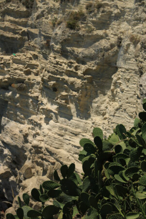 Prickly pear plants and in the background volcanic rocks on Isch - MyVideoimage.com