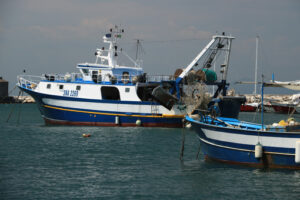 Procida fishing. Fishing boats in the port of Procida Island. Fishing is still an - MyVideoimage.com | Foto stock & Video footage