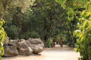 Public park in Ischia. The vegetation on the island is very vari - MyVideoimage.com