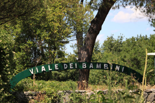 Public park in Ischia. The vegetation on the island is very vari - MyVideoimage.com