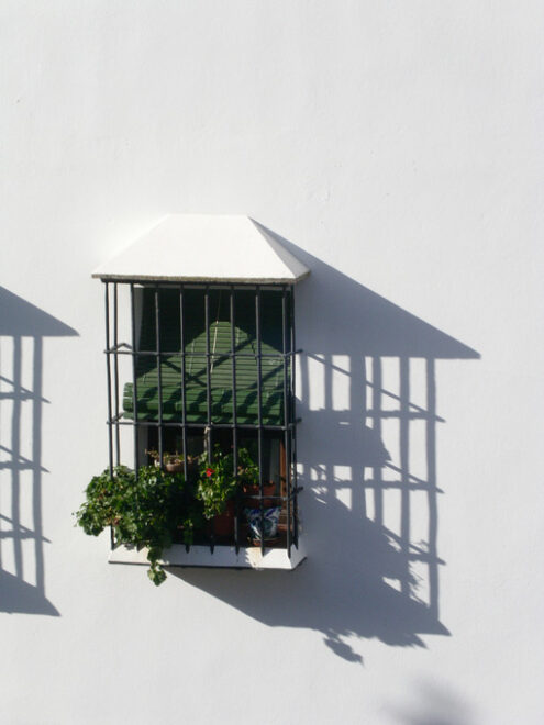 Iron grate. Railing on a white facade