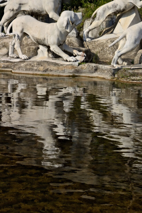 Reggia di Caserta, Italy. 10/27/2018. Monumental fountain with sculptures in white marble - MyVideoimage.com