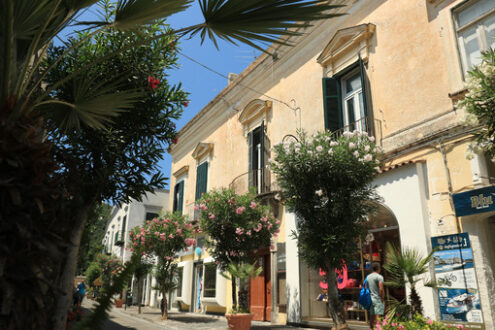 Road to Ischia with green trees, flowers and people walking.  Al - MyVideoimage.com