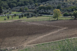 Road with cars on the Chianti hills. Cultivated fields and farmhouses in the Tuscan countryside near Florence. - MyVideoimage.com