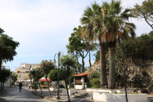 Road with palm trees and flowers in the town of Ischia. - MyVideoimage.com