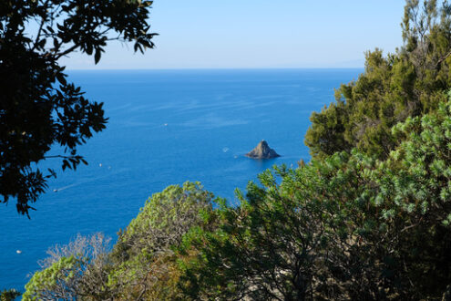 Rock in the sea. Ferale rock in the Cinque Terre sea in Liguria. Bushes of Euphorbia. - MyVideoimage.com | Foto stock & Video footage