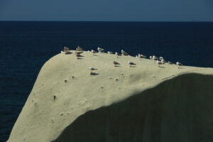 Rocks of falling in love in Forio on the island of Ischia near N - MyVideoimage.com