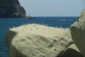 Rocks of falling in love in Forio on the island of Ischia near N - MyVideoimage.com