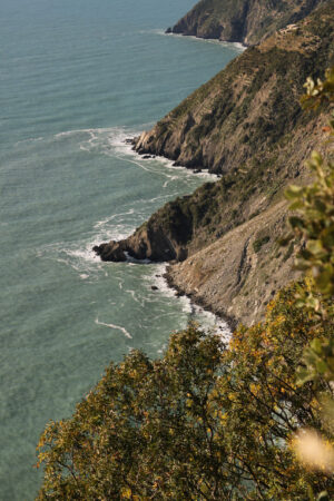 Rocks overlooking the sea. Mountains and Mediterranean vegetation. Cinque Terre. - MyVideoimage.com | Foto stock & Video footage