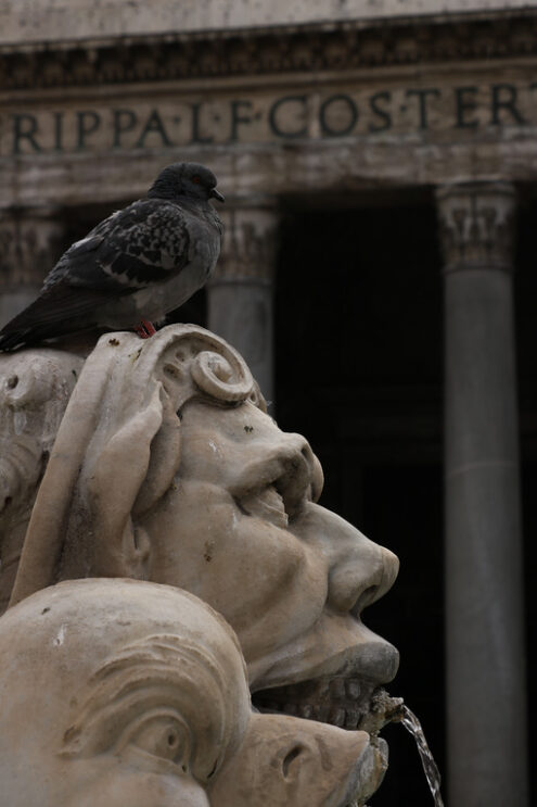 Roma Pantheon. Scultura con fontana di marmo in piazza del Pantheon a Roma. - MyVideoimage.com | Foto stock & Video footage