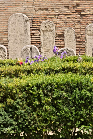 Roman Garden. Garden with boxwood hedges and Roman tombstones in white marble. Roma foto. - MyVideoimage.com | Foto stock & Video footage