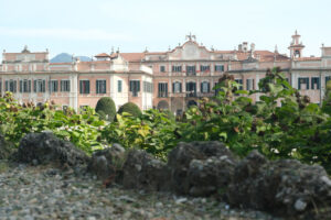 Rose garden in Italy. Estense park in Varese made in Italian style with elements of French inspiration - MyVideoimage.com | Foto stock & Video footage