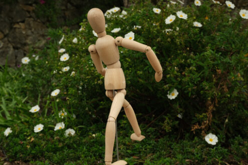 Rotating model. Wooden mannequin in the midst of spring flowers. Mediterranean garden with cistus with white rose flowers and rotating model. - MyVideoimage.com | Foto stock & Video footage