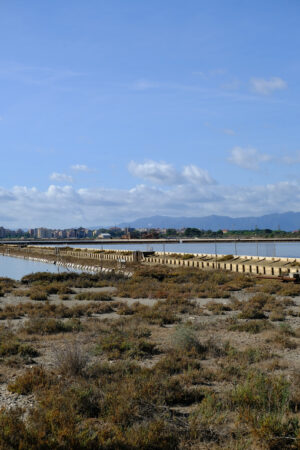 Saline canal. Molentargius park with salt flats. Stock photos. - MyVideoimage.com | Foto stock & Video footage