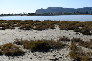 Saline of Cagliari. Molentargius park with salt flats. Stock photos. - MyVideoimage.com | Foto stock & Video footage