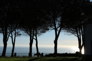 Santuario di Soviore. Panorama of the Cinque Terre sea seen from the hill of the sanctuary of Soviore. Silouette of pines and deu people sitting on a bench. - MyVideoimage.com | Foto stock & Video footage