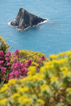 Scoglio nel mare alle Cinque Terre. Colline con la tipica vegetazione mediterranea. - MyVideoimage.com | Foto stock & Video footage