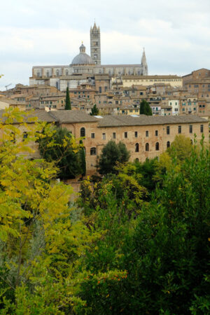 Siena, panorama of the ancient Tuscan city. View of the town with its main monuments: the Cathedral, the Torre del Mangia. - MyVideoimage.com | Foto stock & Video footage