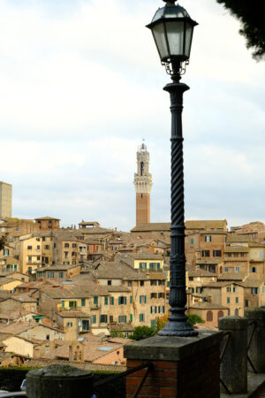 Siena, panorama of the ancient Tuscan city. View of the town with its main monuments: the Cathedral, the Torre del Mangia. - MyVideoimage.com | Foto stock & Video footage