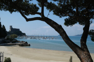 Silhouette of a pine tree trunk with the background of the castle of Lerici. - MyVideoimage.com | Foto stock & Video footage