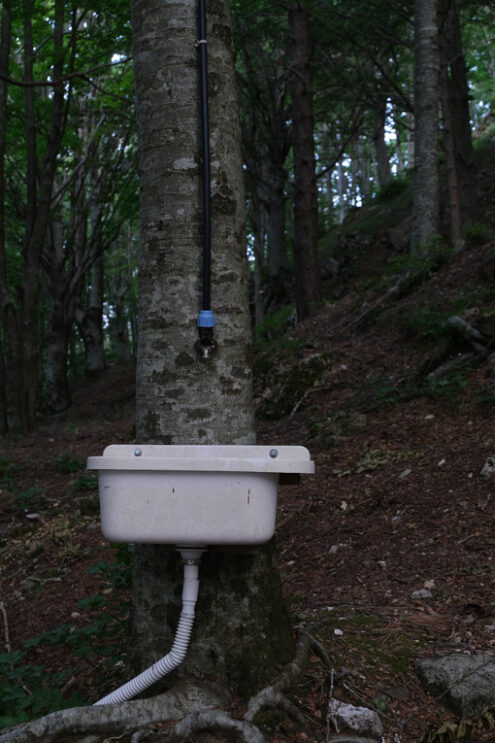 Sink on a tree trunk in the woods. A water pipe feeds a ceramic sink with a drain pipe. - MyVideoimage.com | Foto stock & Video footage