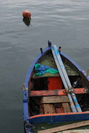 Small fishing boats in the port of Bari. At the market near the port the fishermen sell the fish caught. - MyVideoimage.com