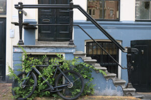 Staircase resting on an old bicycle half-hidden by leaves of a c - MyVideoimage.com