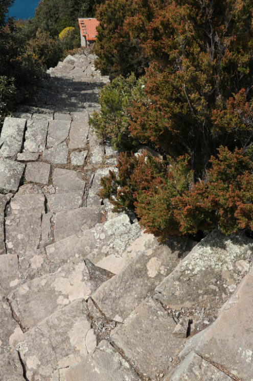 Steep stairway in Cinque Terre. Steep stairway of a path that leads to the village of Monesteroli near the Cinque Terre. - MyVideoimage.com | Foto stock & Video footage