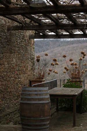 Still life with dried flowers, table and wooden barrel in the Tu - MyVideoimage.com