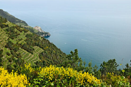 Sunset in the Cinque Terre. Seascape at sunset time in Corniglia. - MyVideoimage.com | Foto stock & Video footage