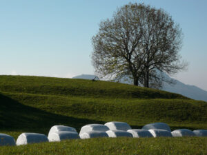 Surreal landscape. Surreal landscape. Countryside with trees, lawn and parcels covered in white plastic. - MyVideoimage.com | Foto stock & Video footage