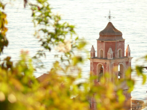 Tellaro panorama. Bell tower of the church with the light of the setting sun and leaves with the climbing leaf of Bouganville. - MyVideoimage.com | Foto stock & Video footage