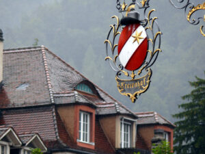 Thun, Switzerland. 08/03/2009. Sign in wrought iron. - MyVideoimage.com