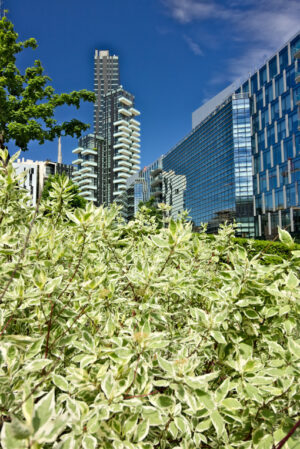 Torre Solaria a Milano. Solaria tower with balconies and modern buildings with curtan glass facades.  Business district with skyscrapers and glazed buildings. - MyVideoimage.com | Foto stock & Video footage