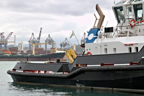 Tugboat in port in La Spezia Merchant port of La Spezia in Liguria. In the foreground a Coast Guard boat. Navi - MyVideoimage.com | Foto stock & Video footage