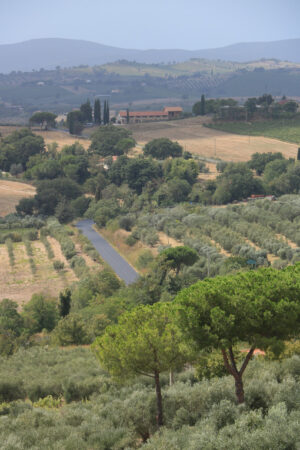 Tuscany countryside. Panoramic view of the Tuscan hills. Vineyards for wine production. - MyVideoimage.com | Foto stock & Video footage