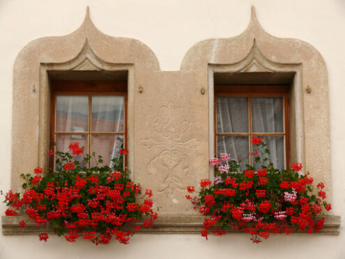 Twin windows with flowers. - MyVideoimage.com