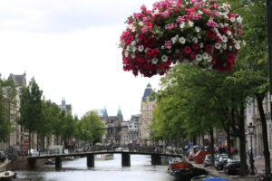 Vases with flowers suspended in the city center. - MyVideoimage.com