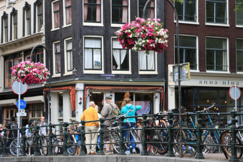 Vases with flowers suspended in the city center. - MyVideoimage.com