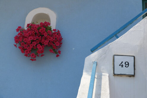 Vaso fiori. Foto Procida. Vase of red flowers on Mediterranean house facade. - MyVideoimage.com | Foto stock & Video footage