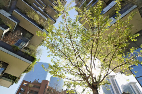 Verical forest, skyscrapers in Milan. “Bosco Verticale” skyscrapers built in Milan between the Isola district and Porta Garibaldi. - MyVideoimage.com | Foto stock & Video footage