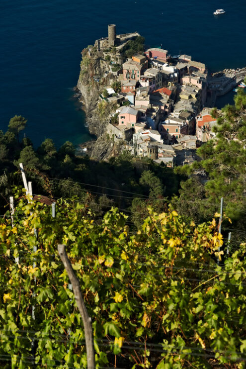 Vernazza Cinque Terre. A village and vineyard in the Cinque Terre. Panorama. - MyVideoimage.com | Foto stock & Video footage