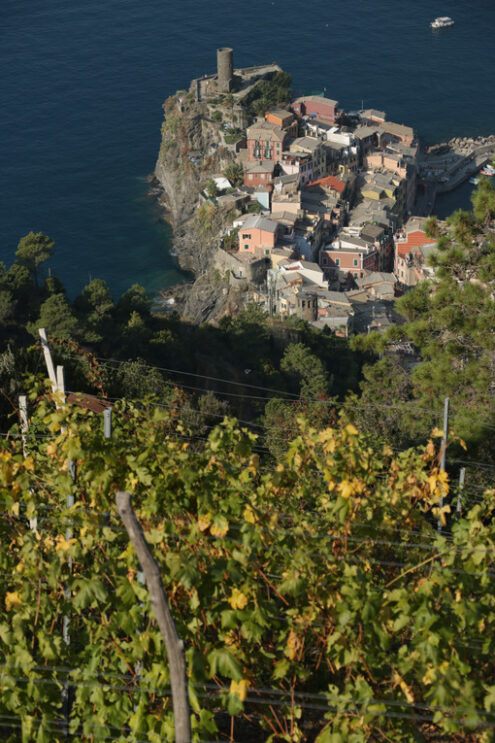 Vernazza Five Lands. Ancient tower dominates the sea with boats. Cinque Terre, La Spezia, Italy. - MyVideoimage.com | Foto stock & Video footage