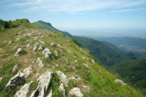 Versilia landscape. Panorama of Versilia with the cities of Camaiore and Viareggio. Stock photos. - MyVideoimage.com | Foto stock & Video footage