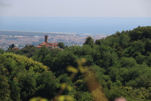 Versilia vista dalle colline. Alta Versilia. Ancient villages perched on the hills. Toscana. - MyVideoimage.com | Foto stock & Video footage