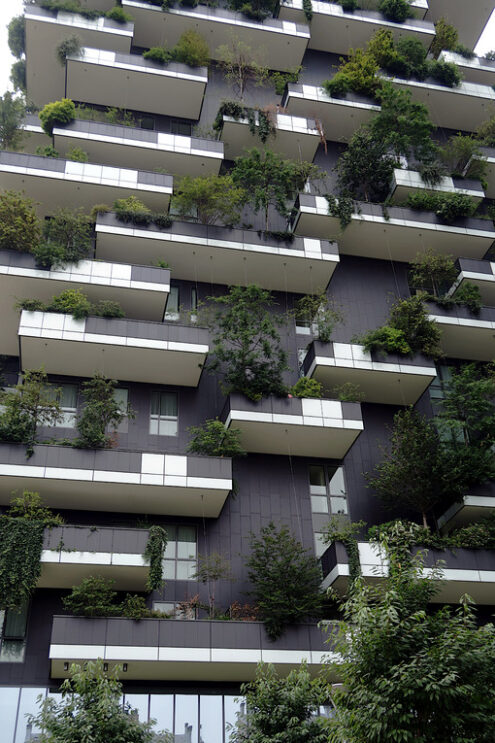 Vertical forest in Milan. The towers of the “Vertical Forest” designed by the architect Stefano Boeri’s studio. - MyVideoimage.com | Foto stock & Video footage