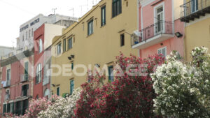 Video facciate colorate. Villaggio di Procida. Le caratteristiche case dalle facciate colorate. Riprese video royalty free. - MyVideoimage.com | Foto stock & Video footage