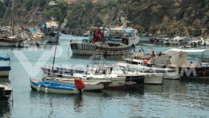 Video porto di Procida. Barche da pesca ancorate nel porto di Procida, in provincia di Napoli. Riprese video royalty free. - MyVideoimage.com | Foto stock & Video footage